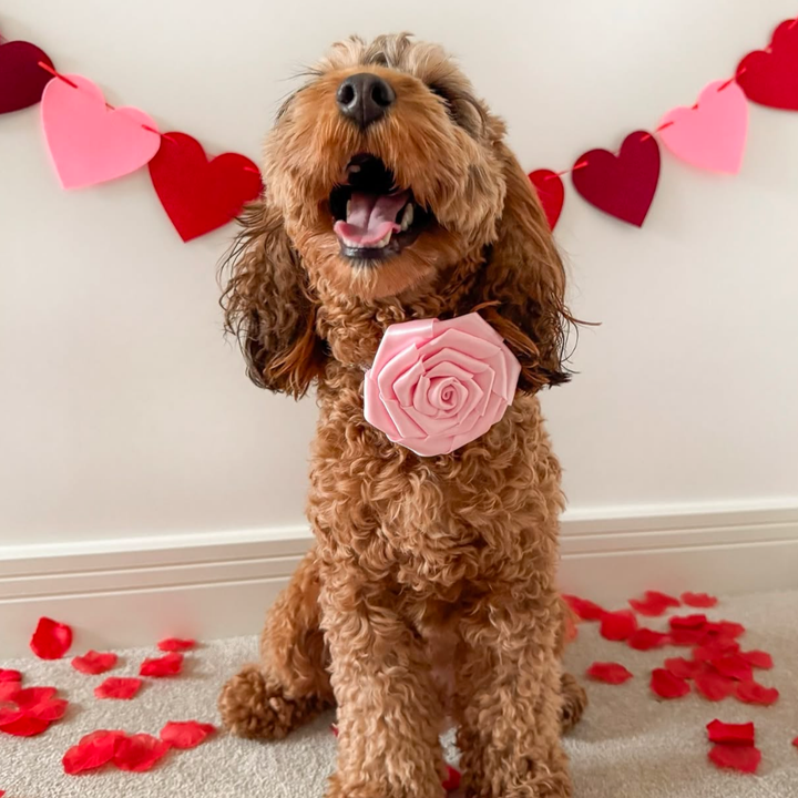 Pink Rose Collar Flower