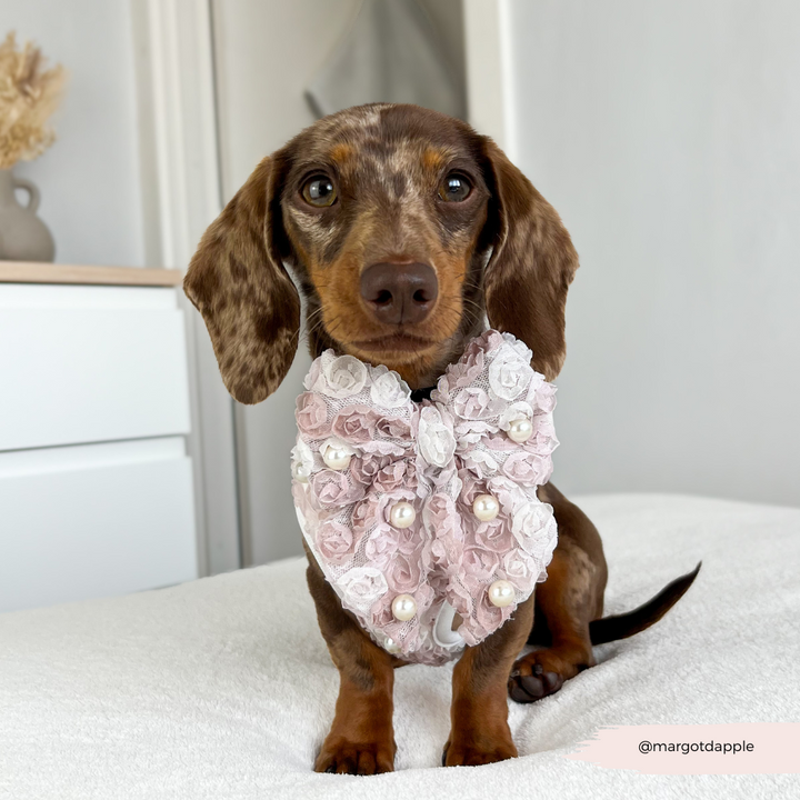 Pearly Pup Sailor Bow Tie