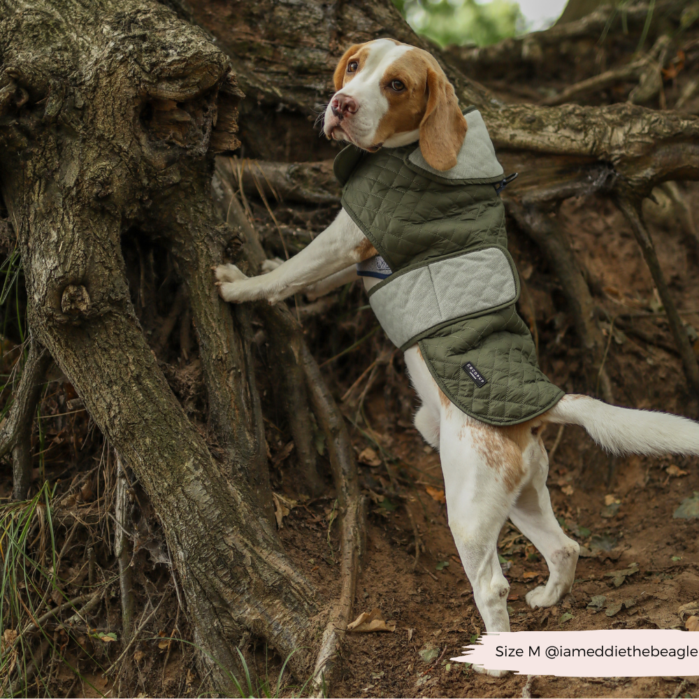 LUXE Quilted Dog Coat - Country Khaki