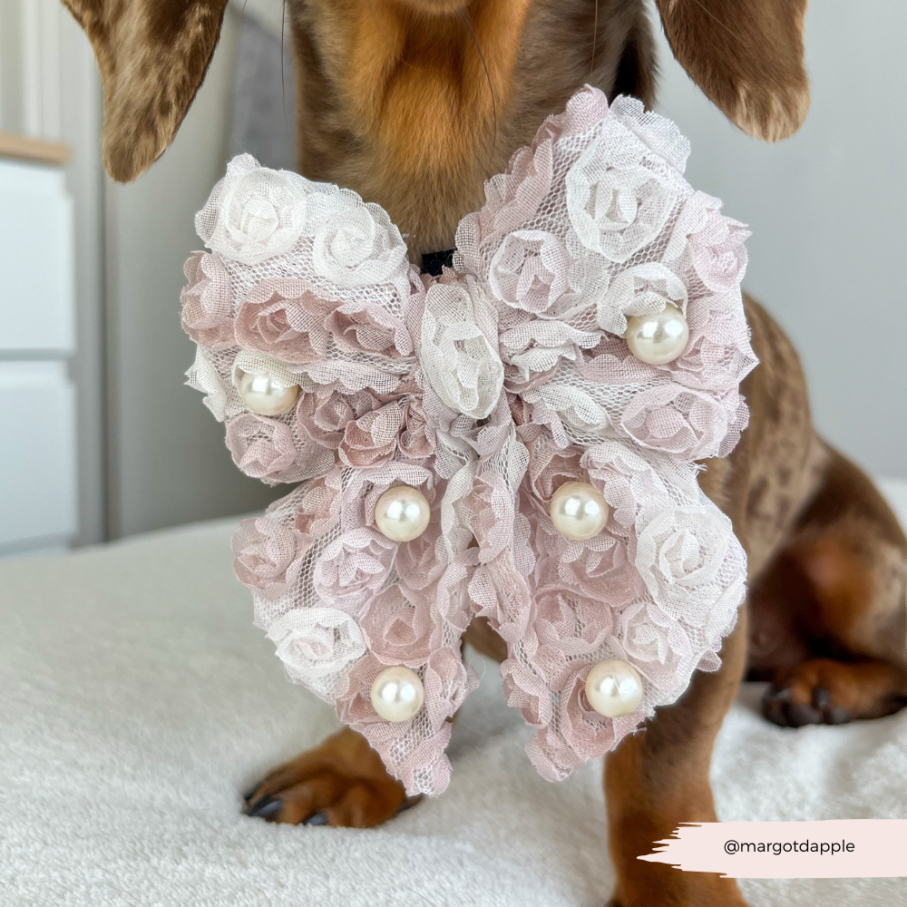 Pearly Pup Sailor Bow Tie