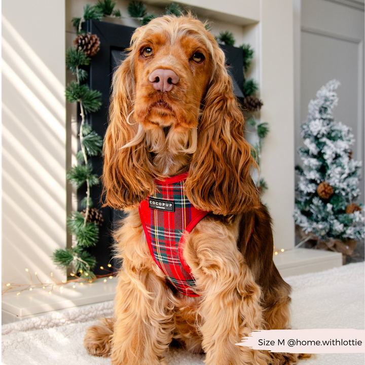 Tartan Adjustable Neck Harness