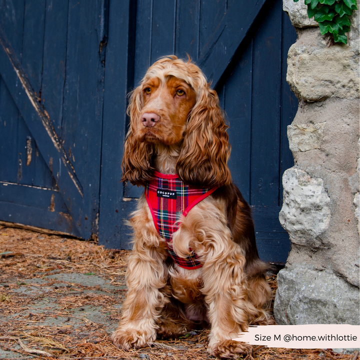 Tartan Adjustable Neck Harness