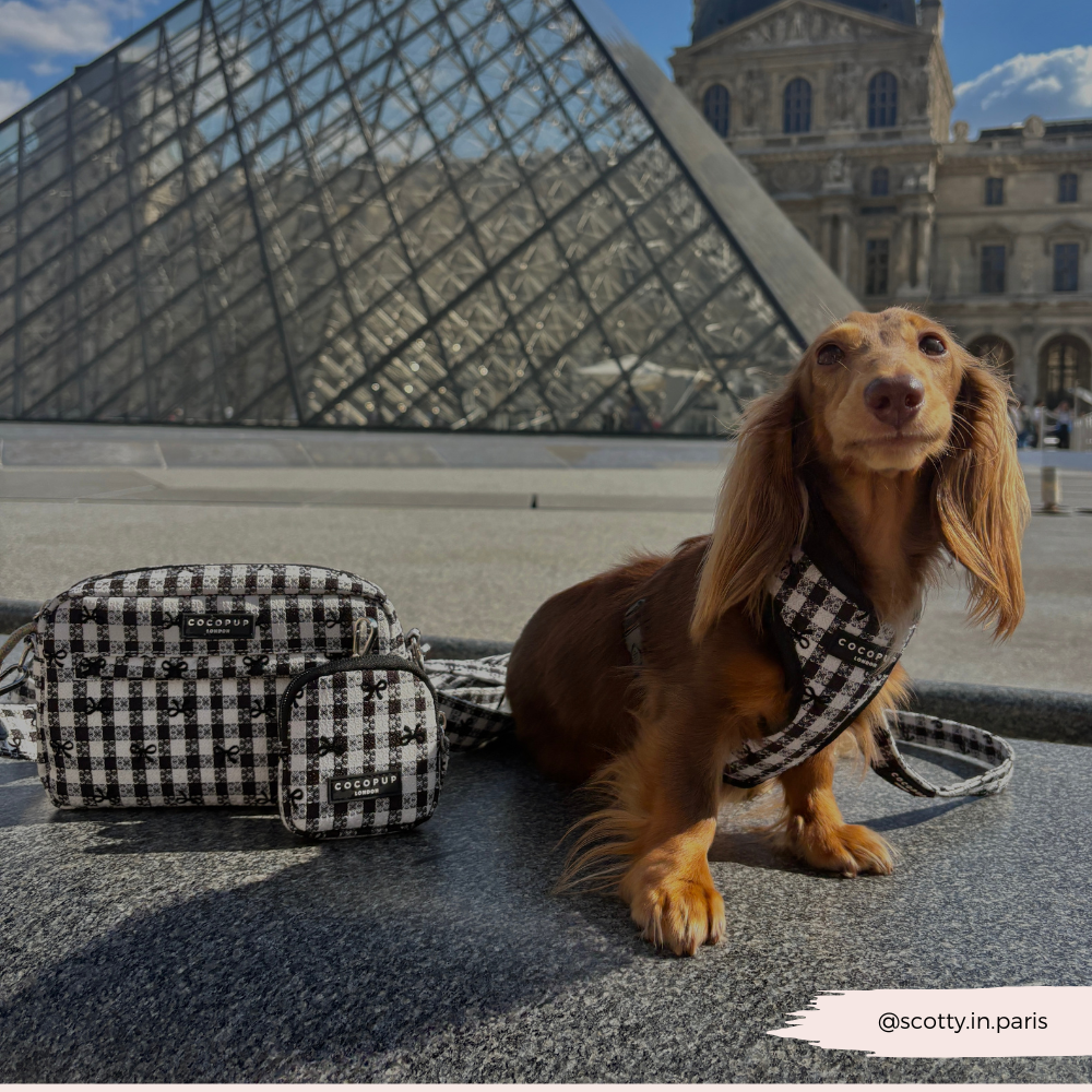 Dog Walking Bag - Pup in Paris