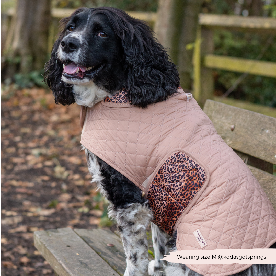 LUXE Quilted Dog Coat - Leopard Pup