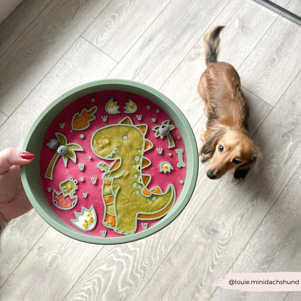 Silicone Slow Feed Dog Bowl - Dinopaws