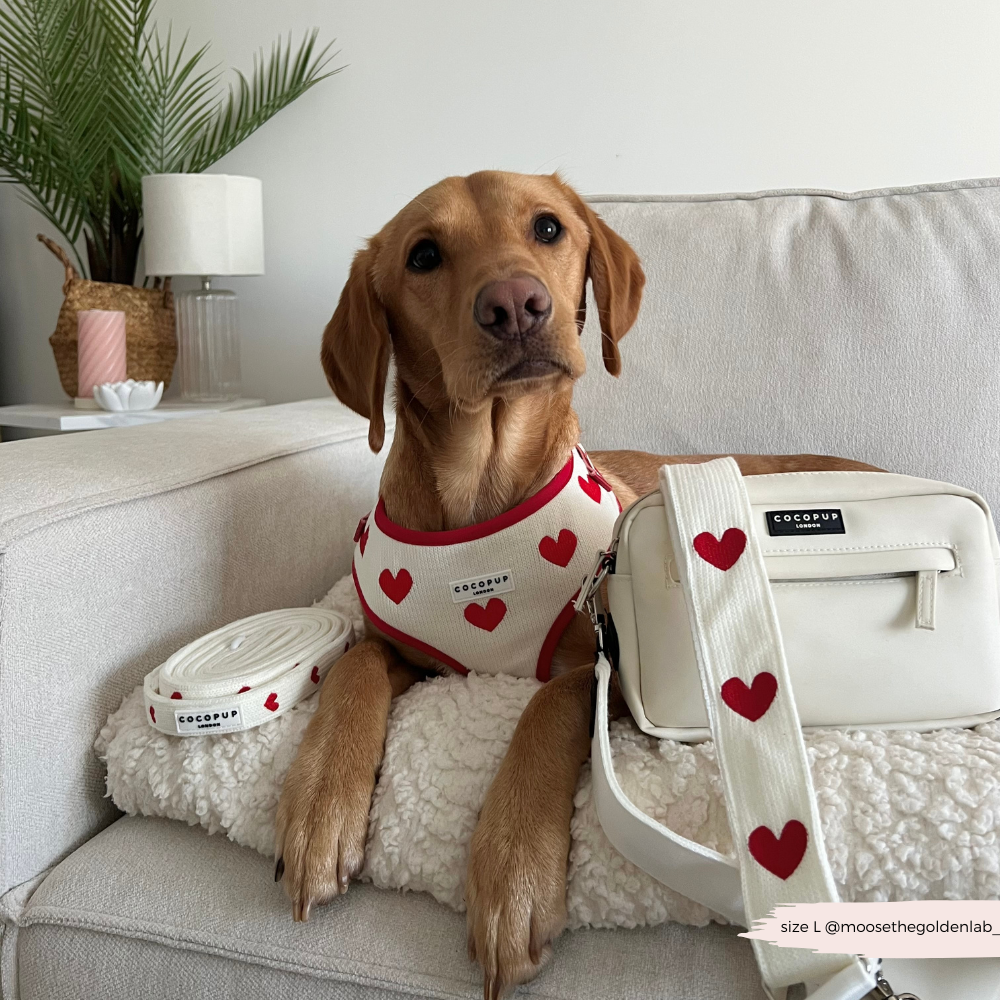 Dog Walking Bag Bundle - Hugs & Knitted