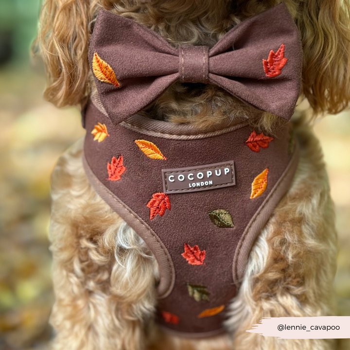 Pawtumn Leaves Adjustable Neck HARNESS