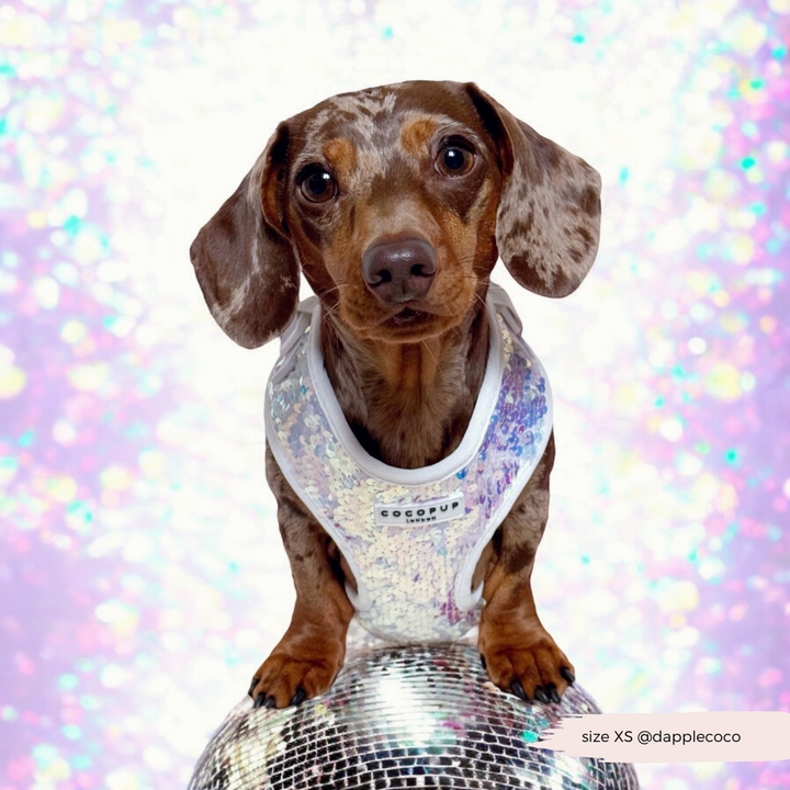 Limited Edition LUXE Party Holographic Sequin Harness