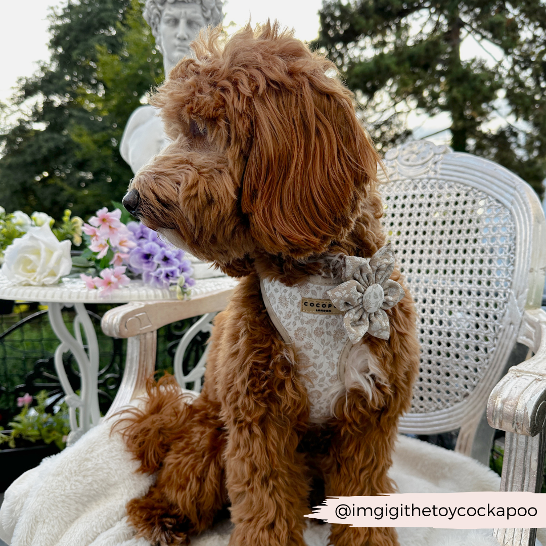 LUXE Garden Meadow Collar Flower