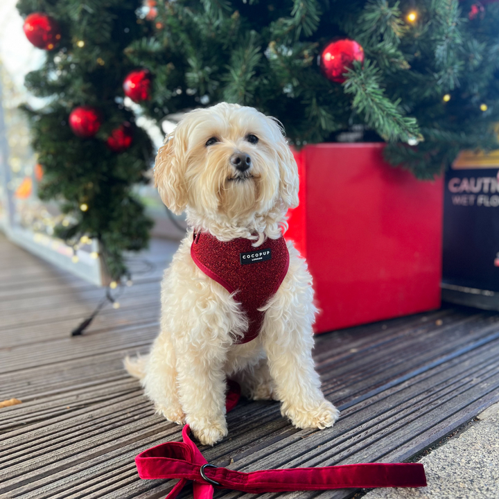 LUXE Velvet Adjustable Neck Harness - Berry Red