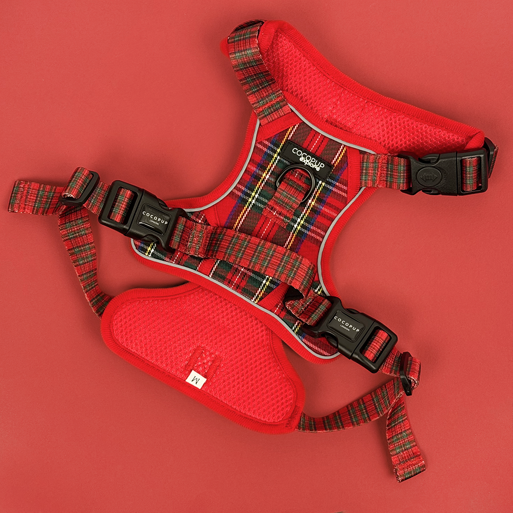 Explore Harness - Tartan