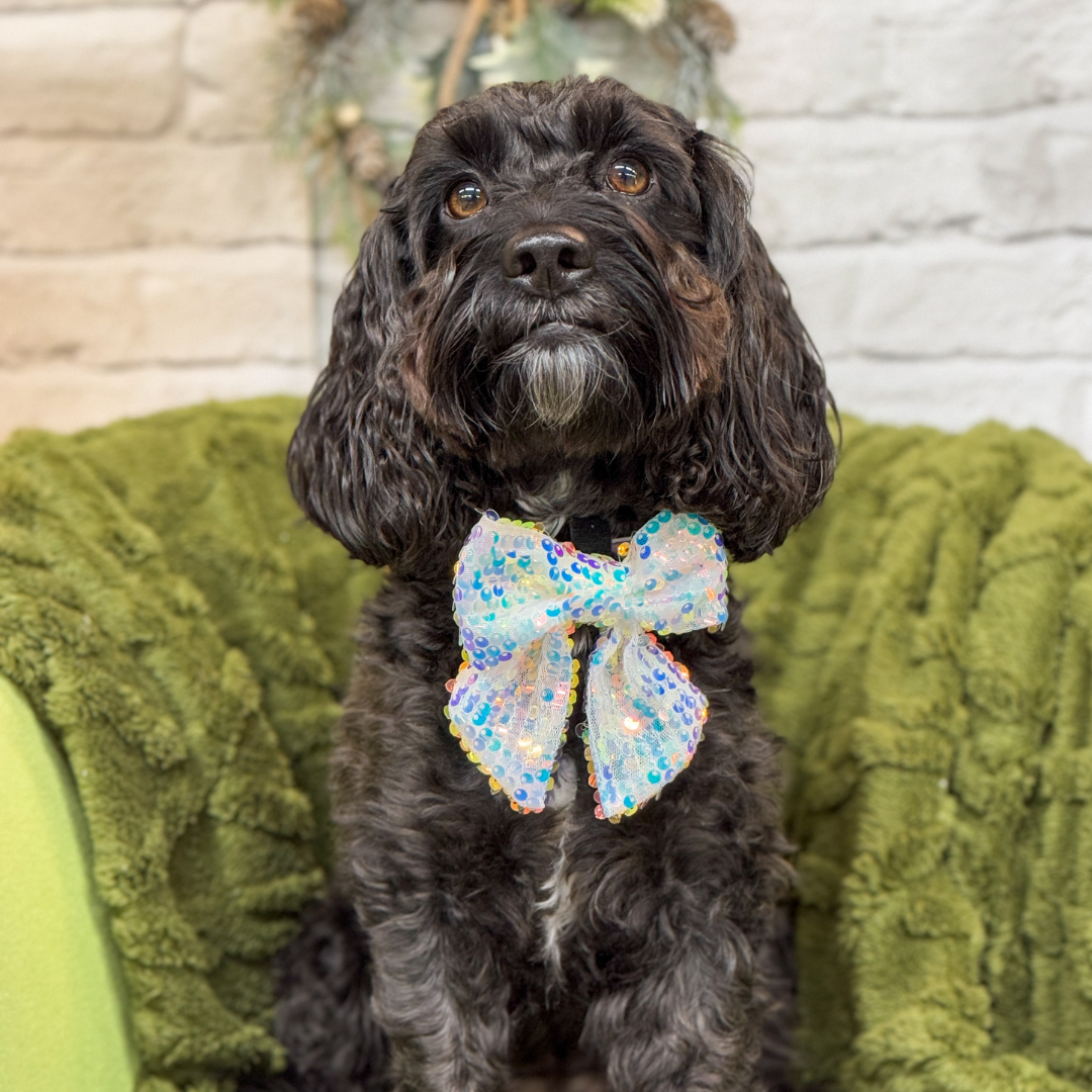 Limited Edition LUXE Party Holographic Sequin Sailor Bow Tie