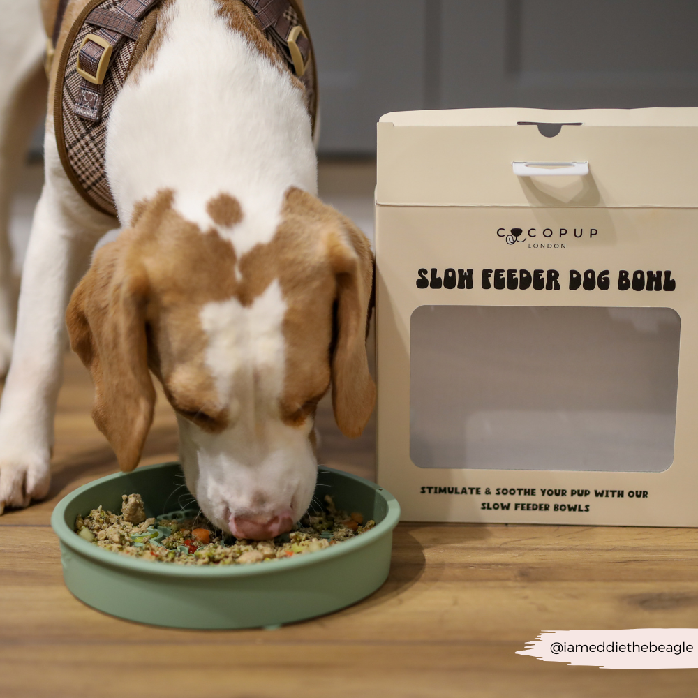 Silicone Slow Feed Dog Bowl - Sage Flowers