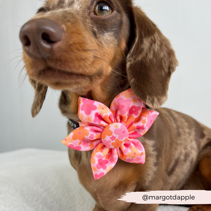 Summer Bloom Collar Flower