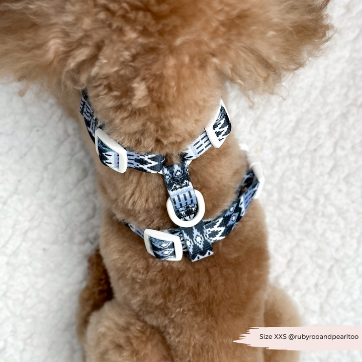 Chalet Pup Adjustable Neck Harness