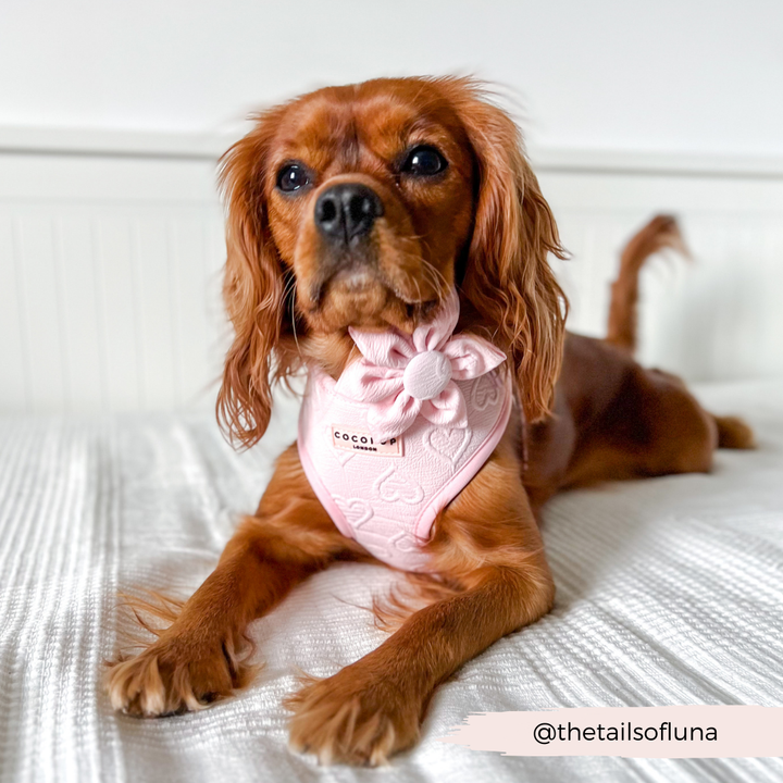 LUXE Baby Pink Heart Collar Flower