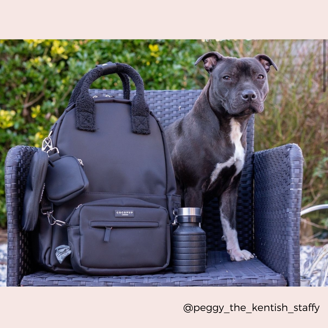 Ultimate Rucksack Bundle - Black