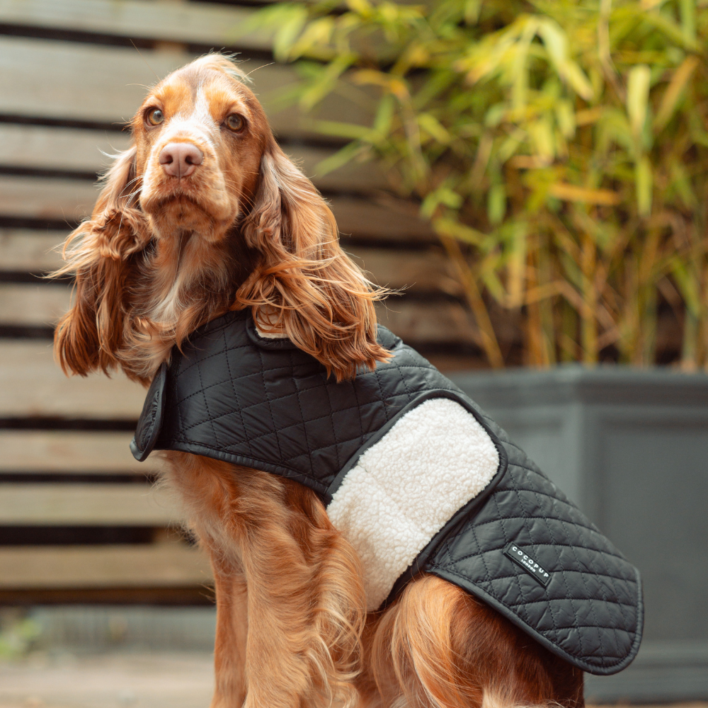 LUXE Quilted Dog Coat - Midnight Black