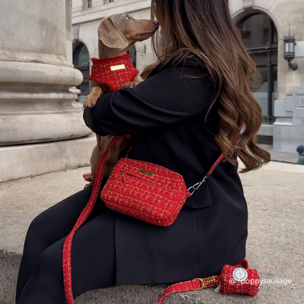 Dog Walking Bag - Red Textured Tweed