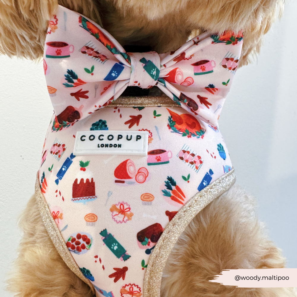 Cracking Christmas Dinner Bow Tie