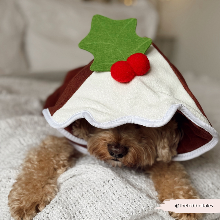 Christmas Pudding Drying Robe