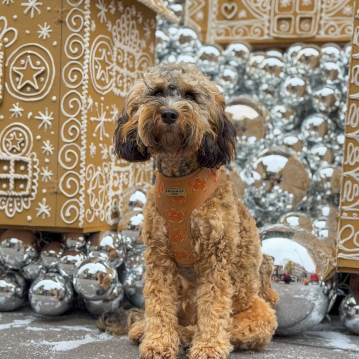 Luxe Velvet Adjustable Neck Harness - Gingerbread Treats