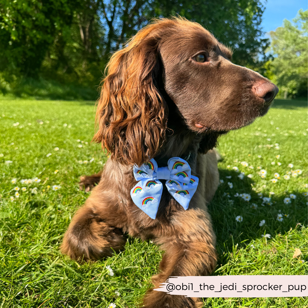 Luxe Over The Rainbow Sailor Bow Tie