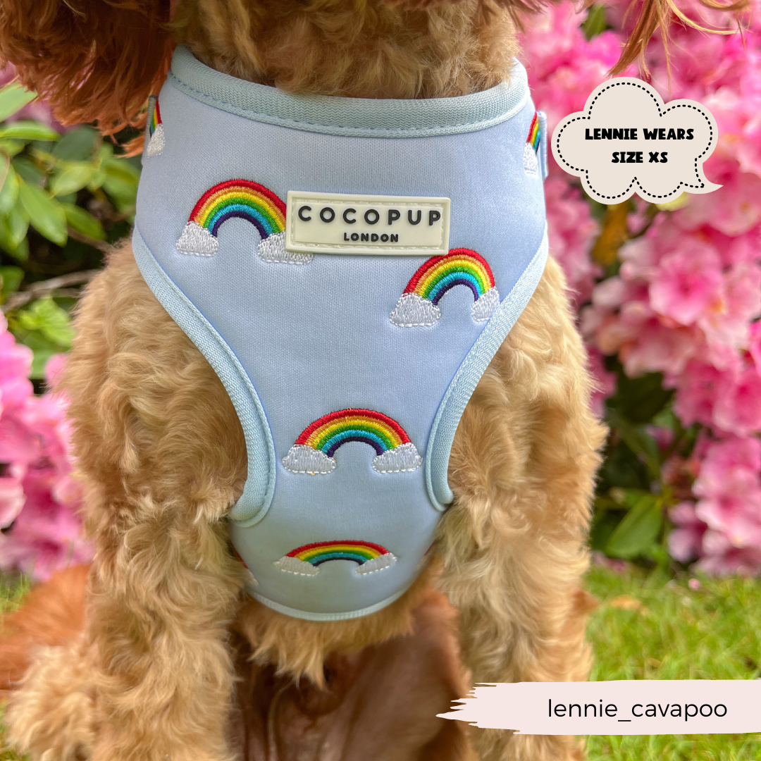 A dog with curly fur is wearing a light blue Luxe Adjustable Neck Harness - Over The Rainbow adorned with an embroidered rainbow design and clouds. The harness label reads "COCOPUP LONDON." Pink flowers and green foliage are in the background. A text bubble notes, "LENNIE WEARS SIZE XS," with the Instagram handle "@lennie_cavapoo.