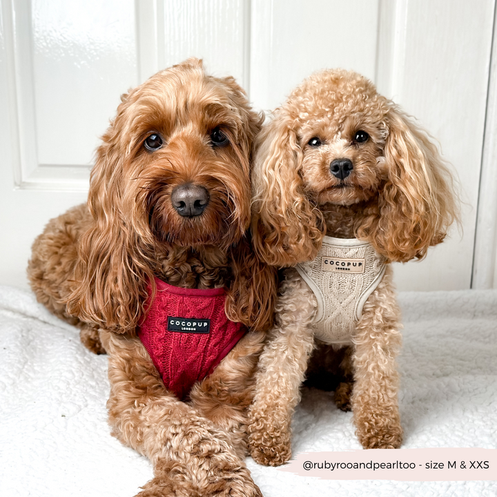 Cable Knit Jumper Adjustable Neck Harness - Toffee Pup Latte