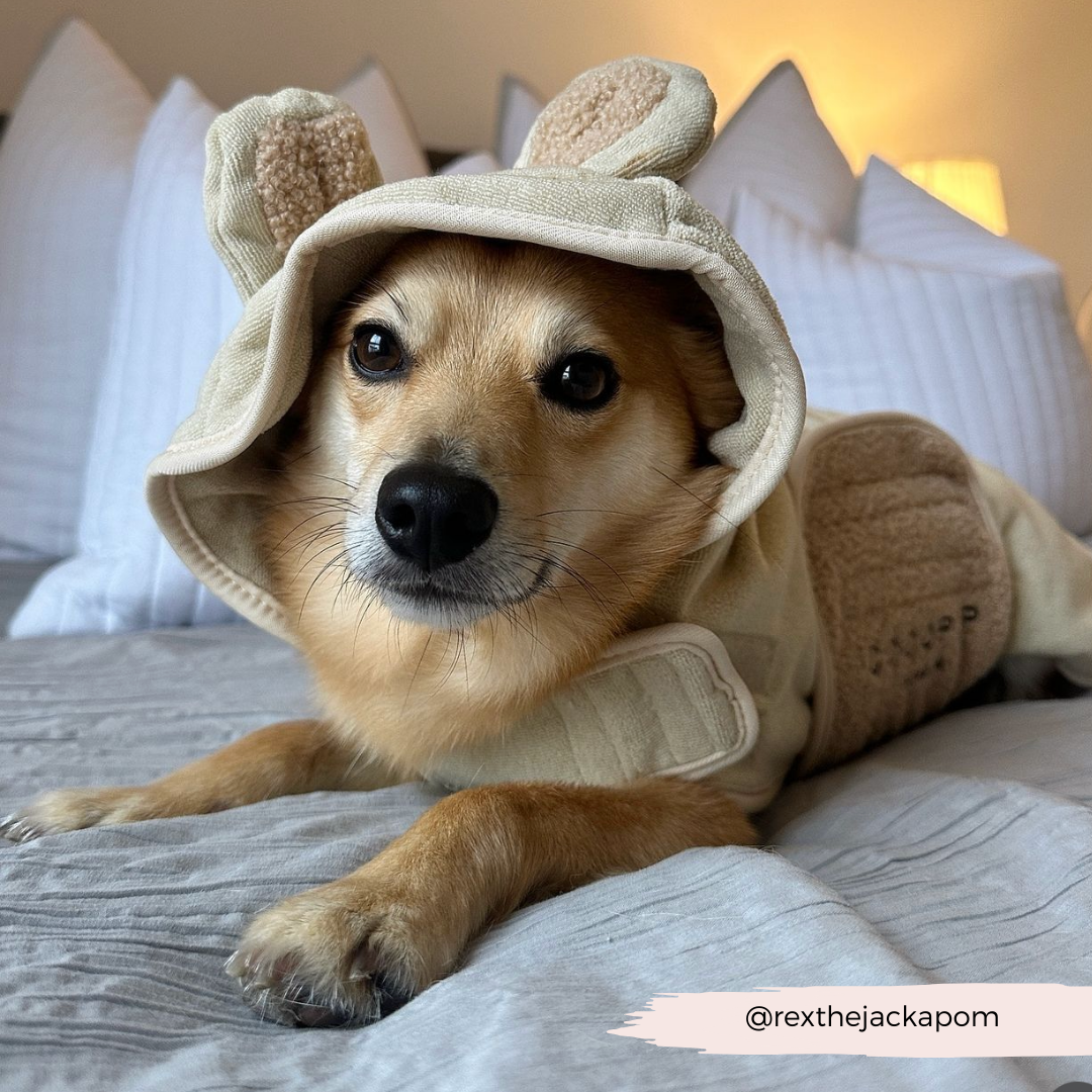 Teddy Drying Robe