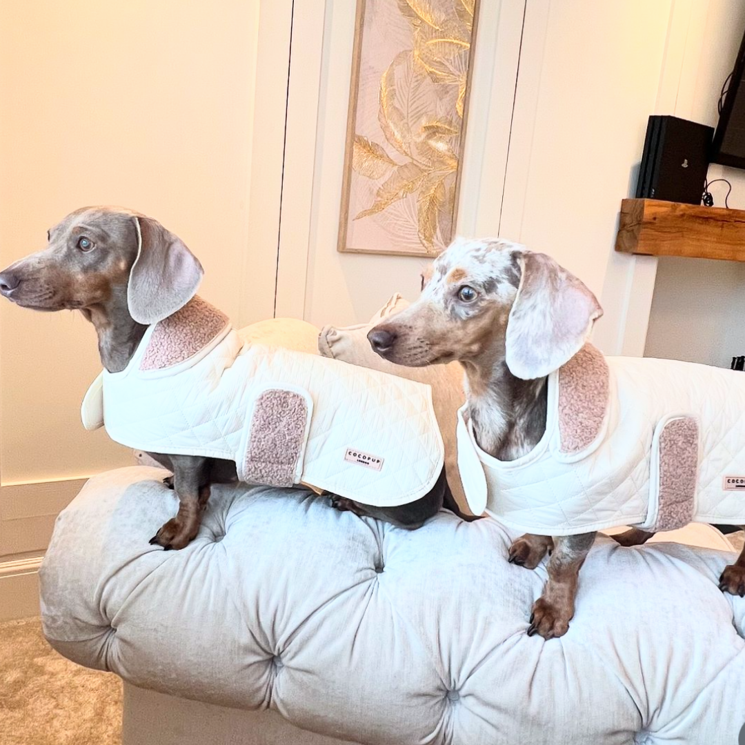 LUXE Quilted Dog Coat - Creamy Chai