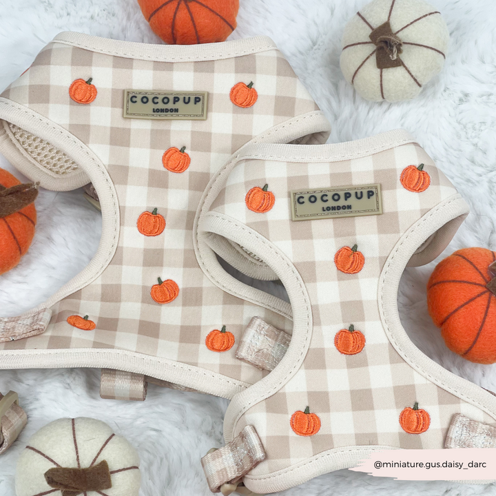 Pumpkin Patch Adjustable Neck HARNESS