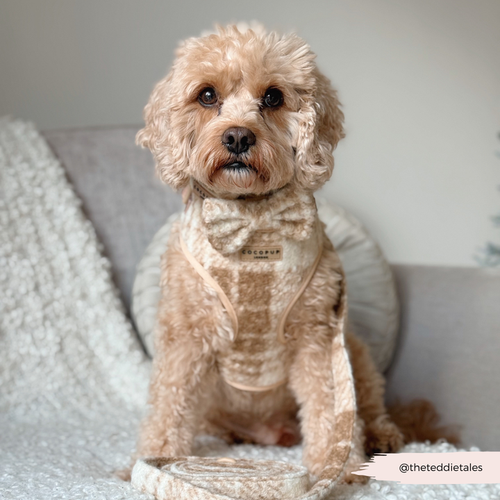 Highland Fleece Adjustable Neck HARNESS - Oatmeal