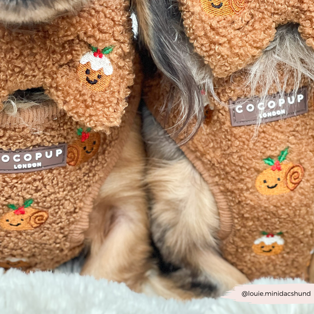 Festive Pudding Pup Bow Tie