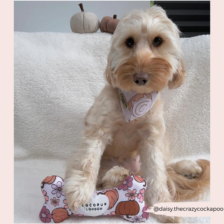 Pup-kin Meadow Bone Toy