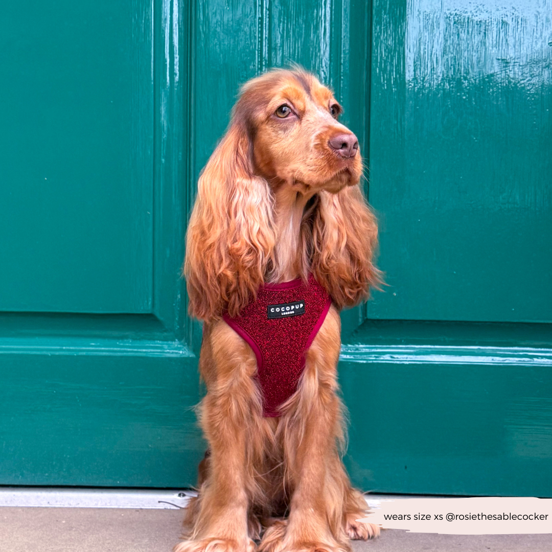 Limited Edition Burgundy Sparkle Pup Adjustable Neck Harness