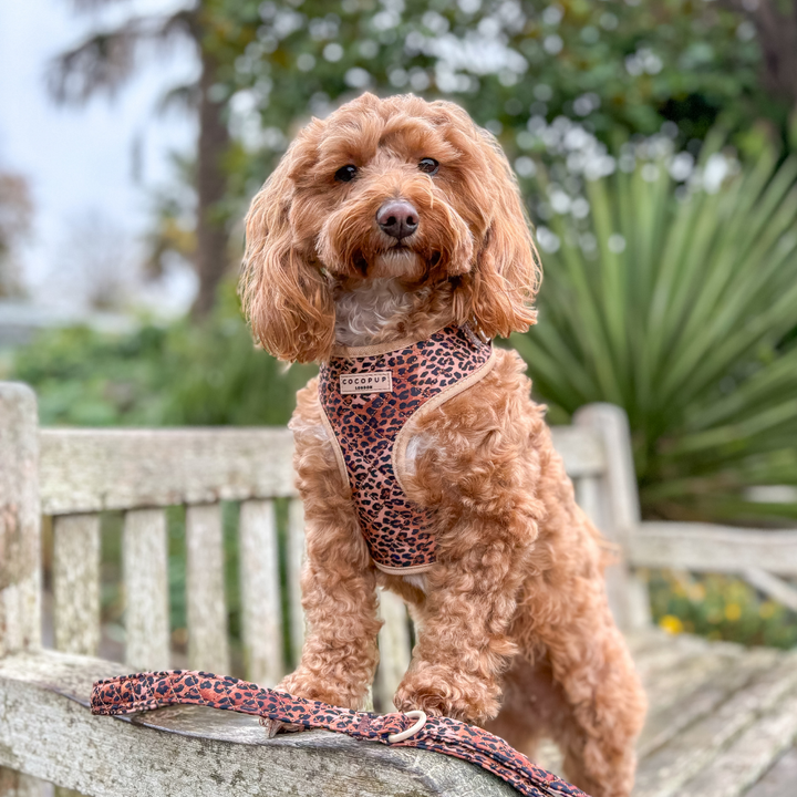 Quilted Leopard Pup Lead