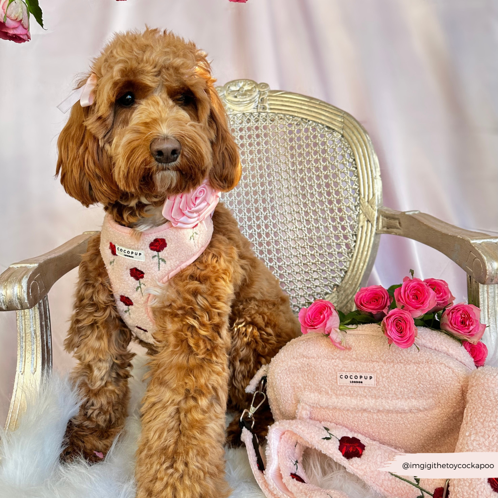 Dog Walking Bag Bundle - Embroidered Roses Teddy