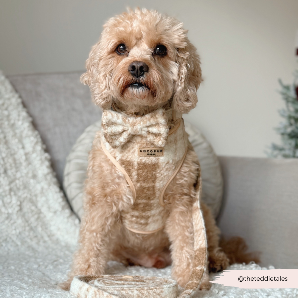 Highland Fleece Adjustable Neck HARNESS - Oatmeal