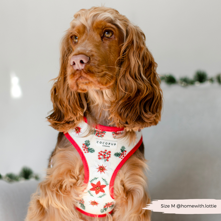 LUXE Embroidered Frosty Flower Harness