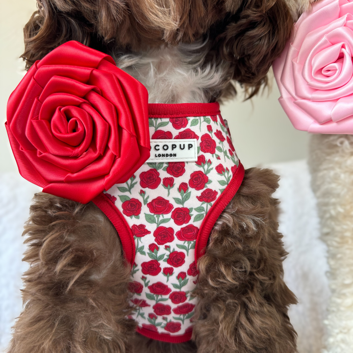 Red Rose Collar Flower