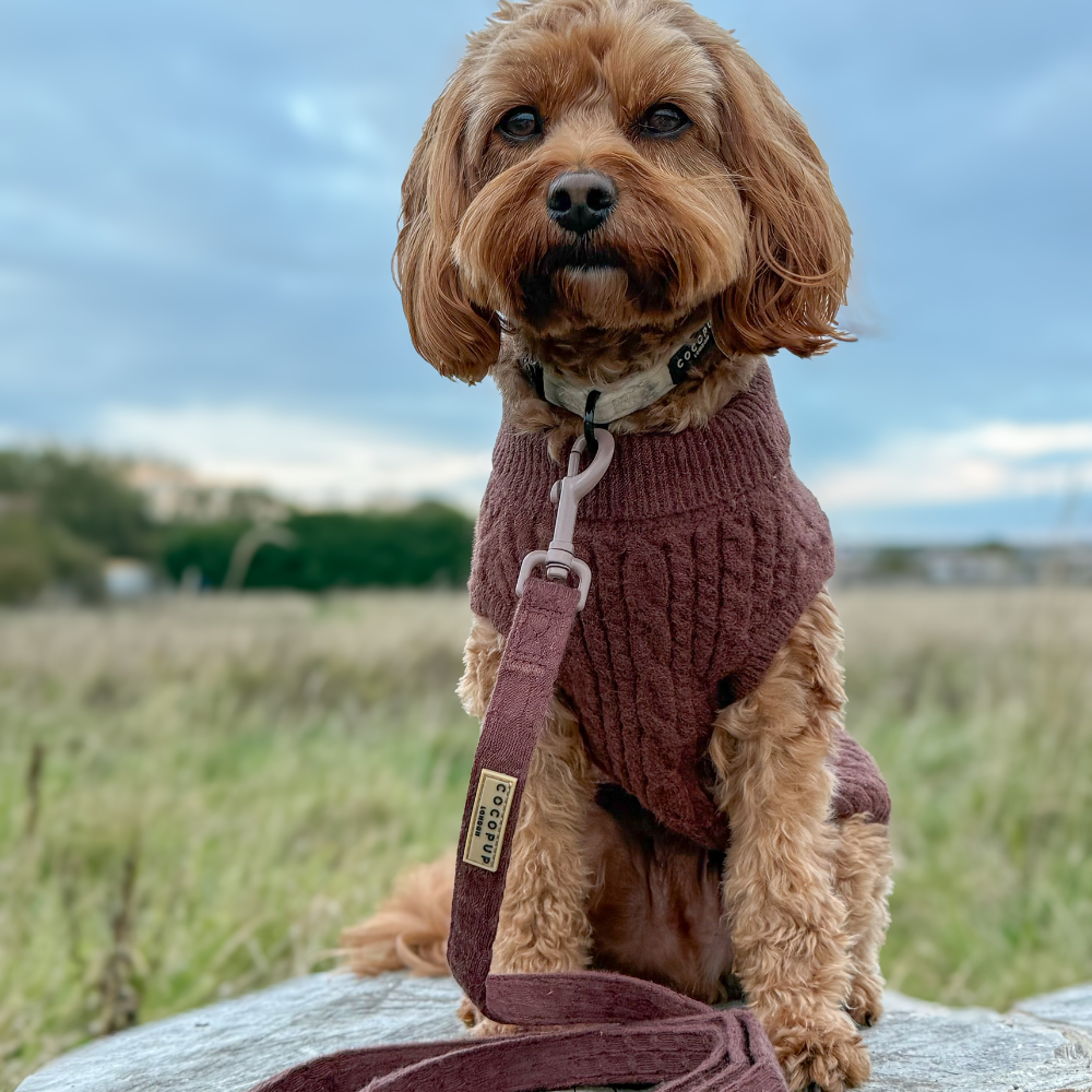 Cable Knit Lead - Hot Coco