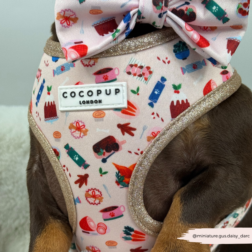 Cracking Christmas Dinner Adjustable Neck HARNESS