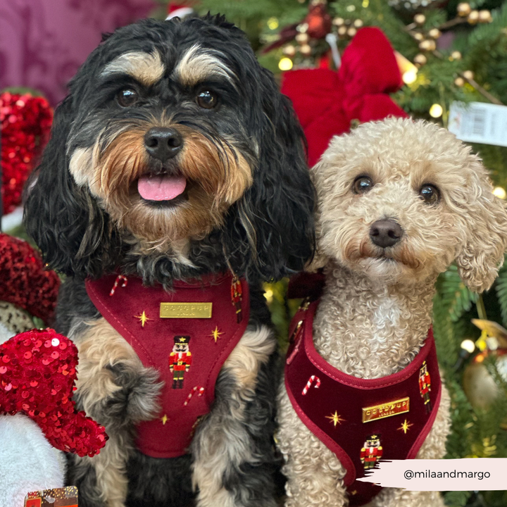 The Muttcracker Adjustable Neck HARNESS