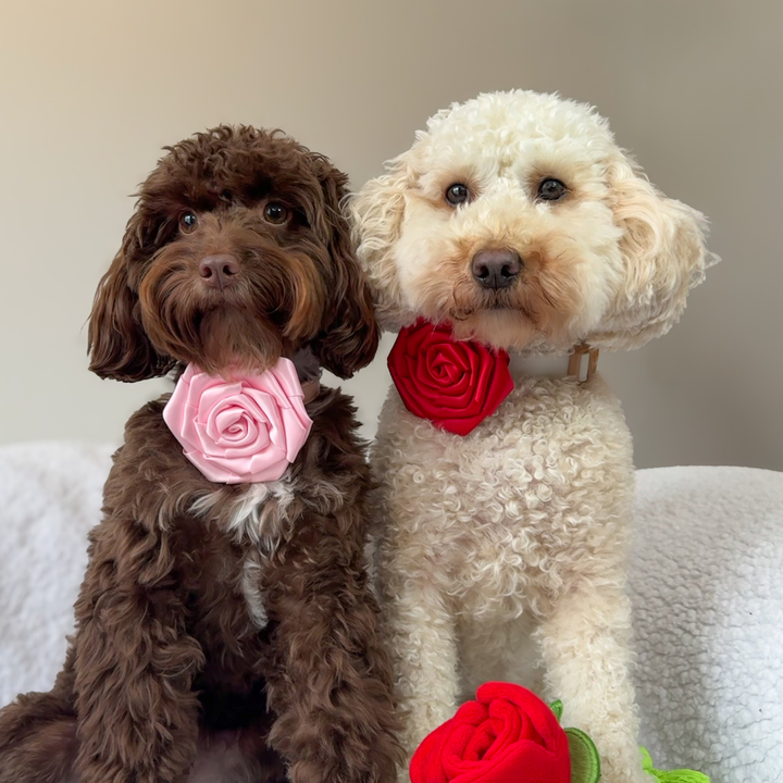 Pink Rose Collar Flower