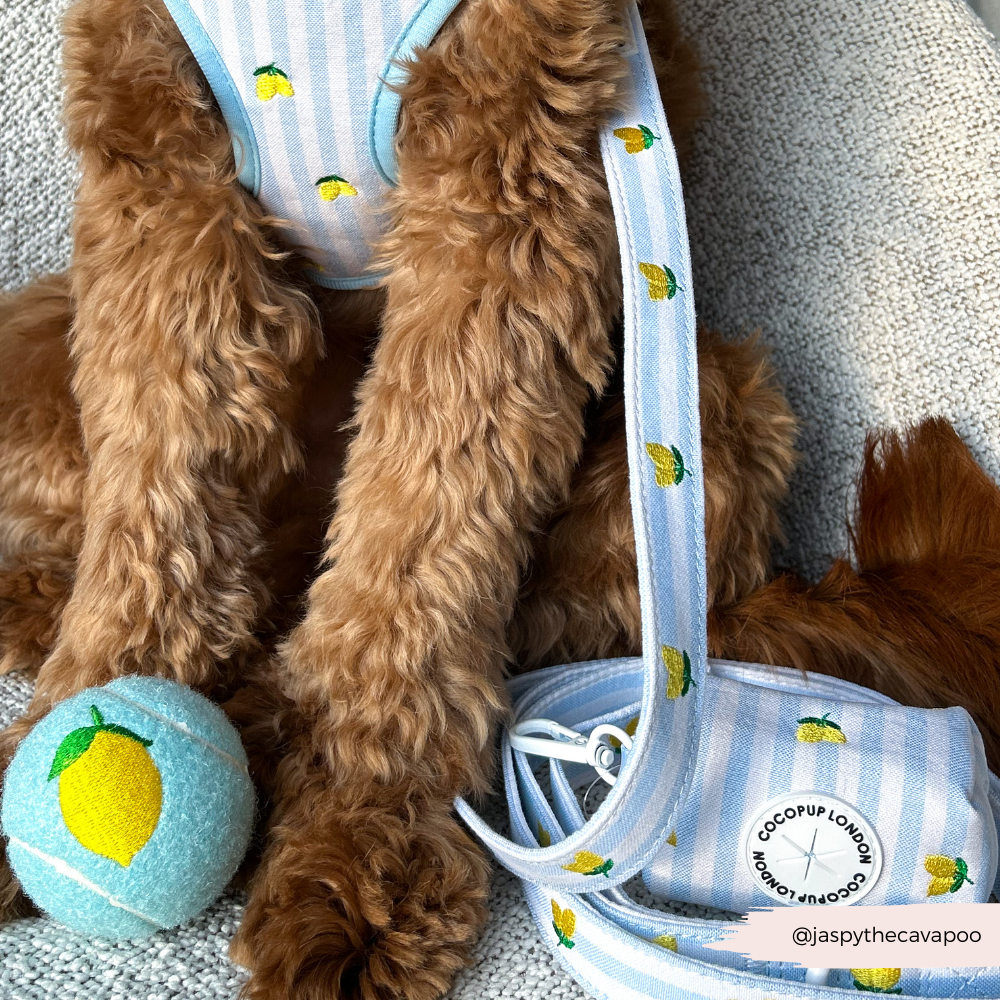 Living La Vida Lemon Poop Bag Holder