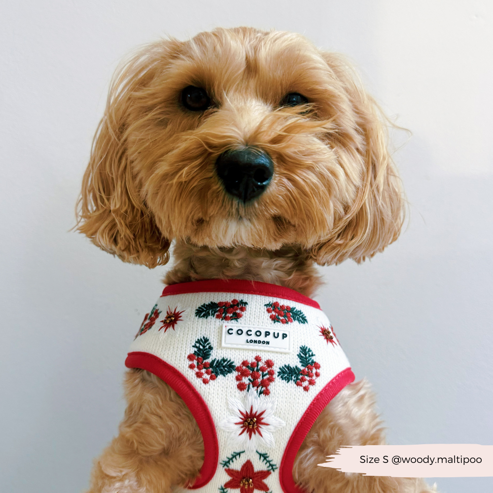 LUXE Embroidered Frosty Flower Harness