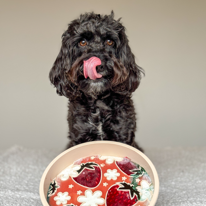 Silicone Slow Feed Dog Bowl - Pupberry Fields