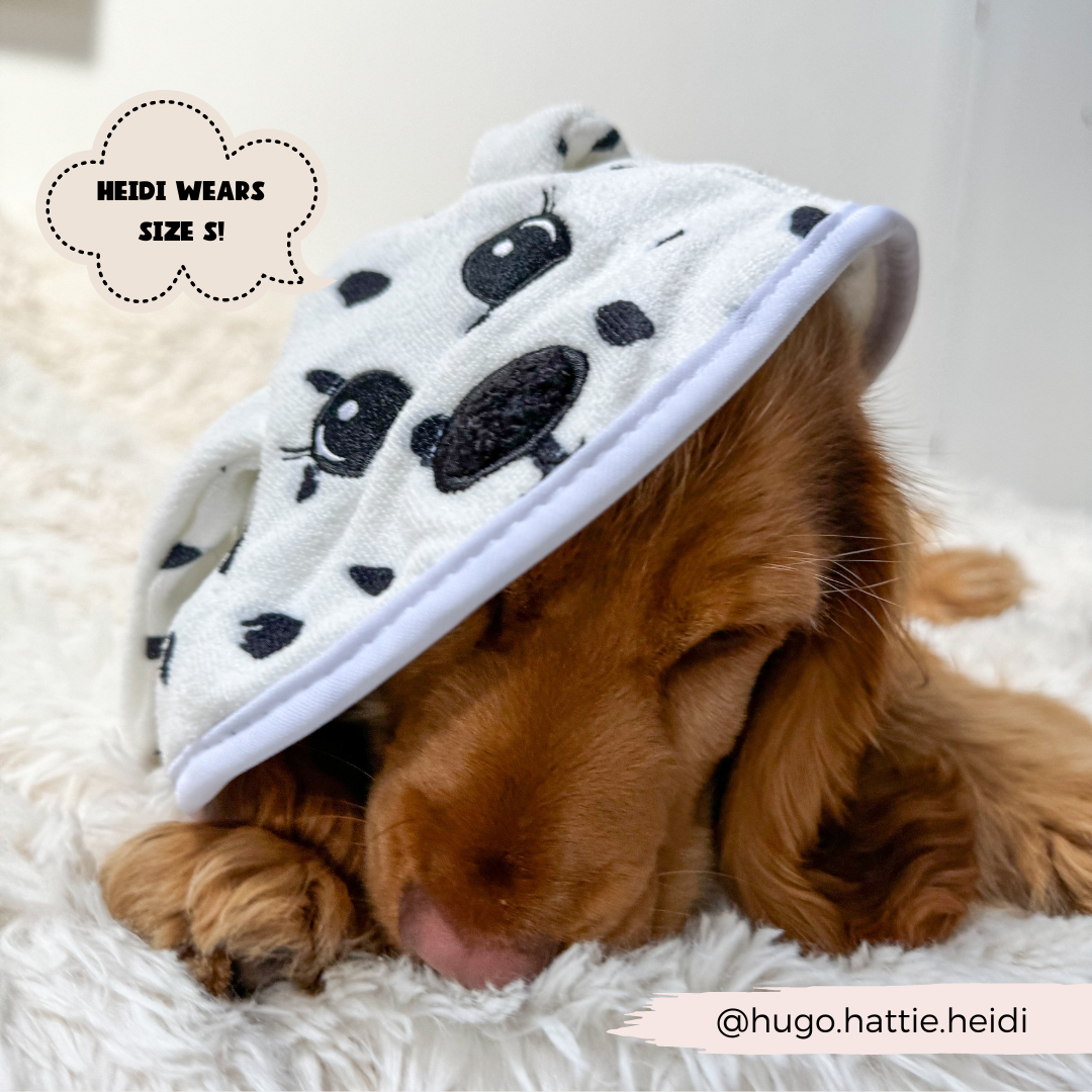 Dalmatian Drying Robe