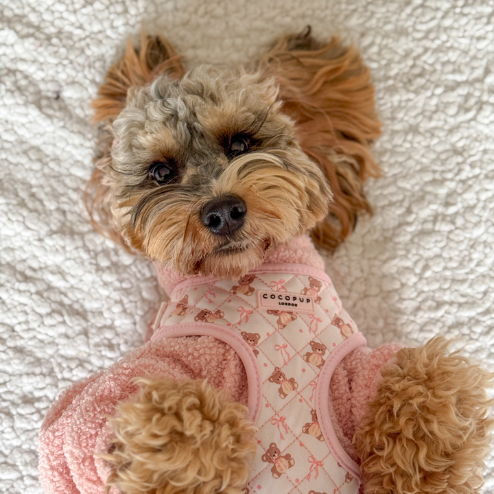 Quilted Thea Teddy Adjustable Neck Harness